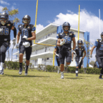 Pellentesque nibh aenean quam in scelerisque